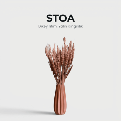 Stoa - Vazo & Kuru Çiçek