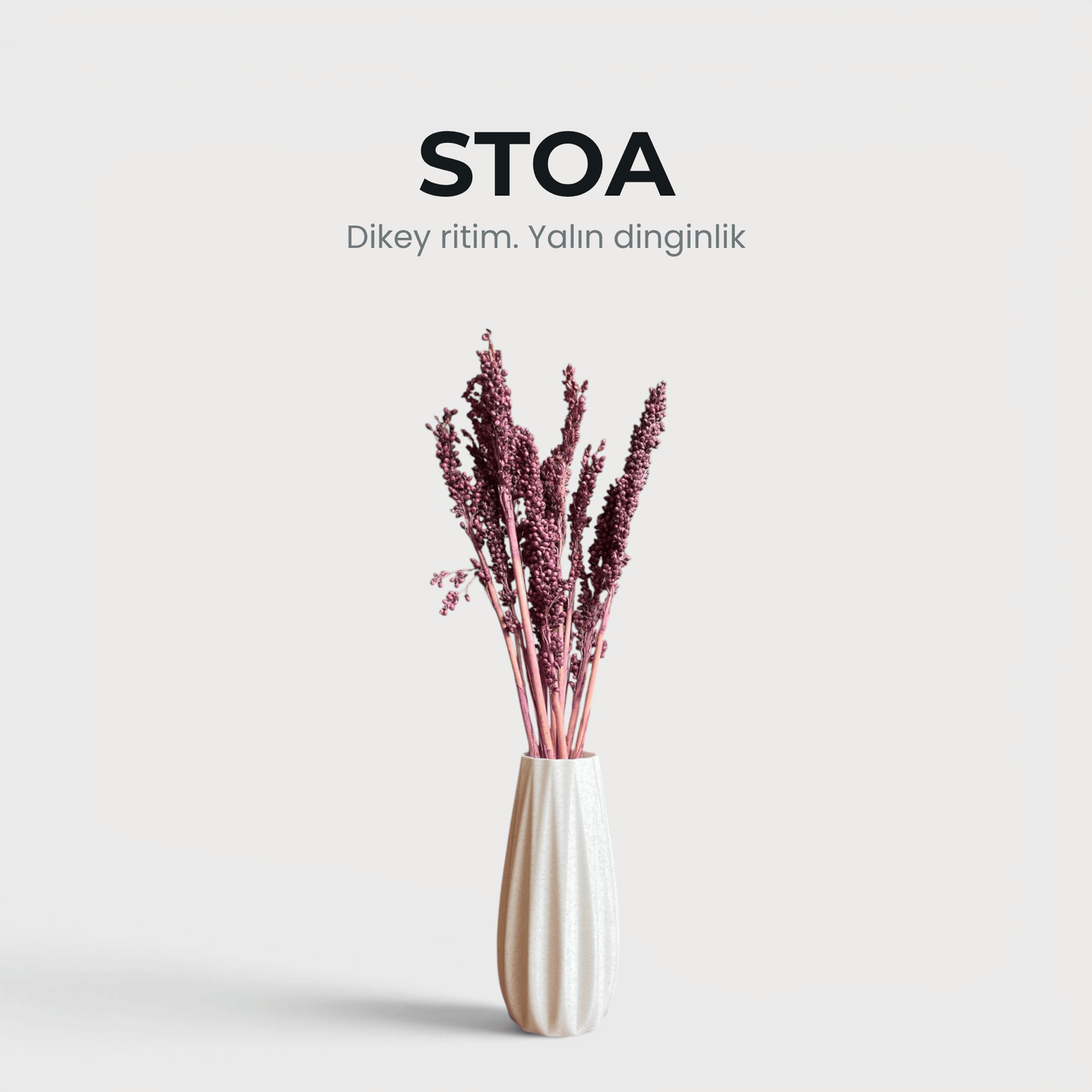 Stoa - Vazo & Kuru Çiçek
