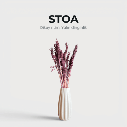 Stoa - Vazo & Kuru Çiçek