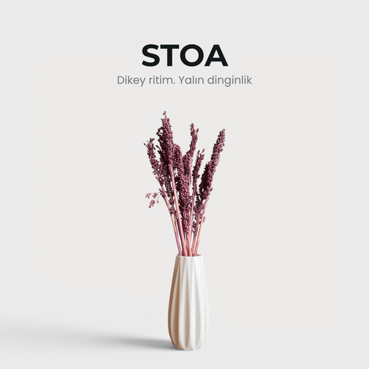 Stoa - Vazo & Kuru Çiçek