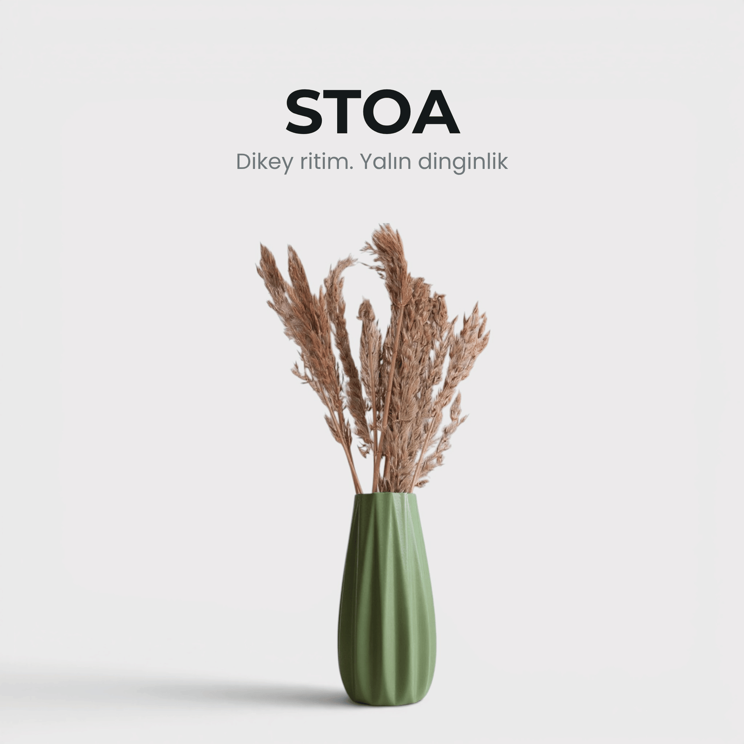 Stoa - Vazo & Kuru Çiçek